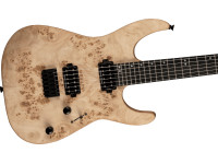 Charvel Pro-Mod DK24 HH HT E DS Charvel Pro-Mod DK24 HH HT E DS